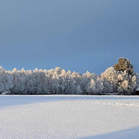 شقة Escapade Norvegienne Tolga المظهر الخارجي الصورة