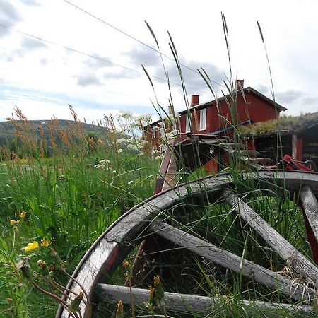 شقة Escapade Norvegienne Tolga المظهر الخارجي الصورة