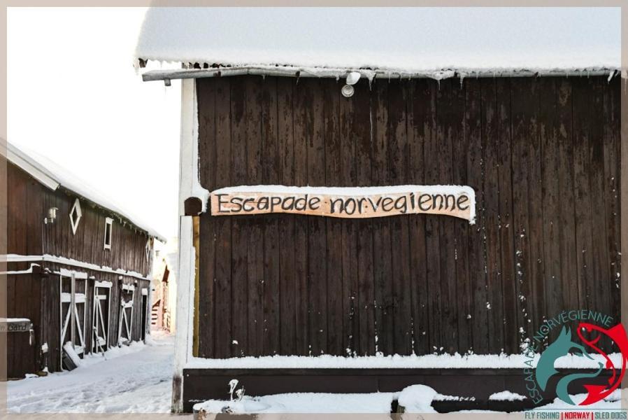 شقة Escapade Norvegienne Tolga المظهر الخارجي الصورة