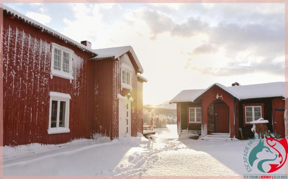 شقة Escapade Norvegienne Tolga المظهر الخارجي الصورة