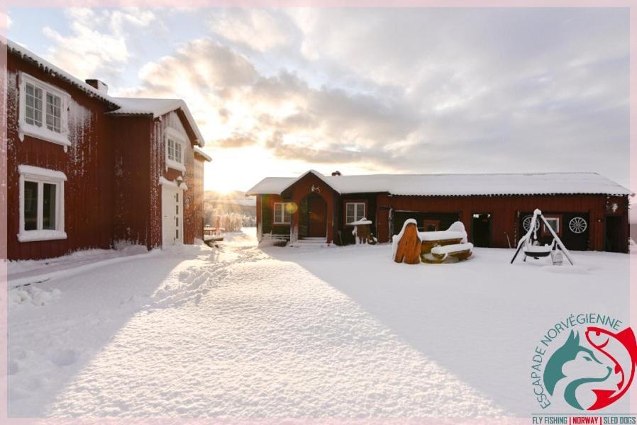 شقة Escapade Norvegienne Tolga المظهر الخارجي الصورة