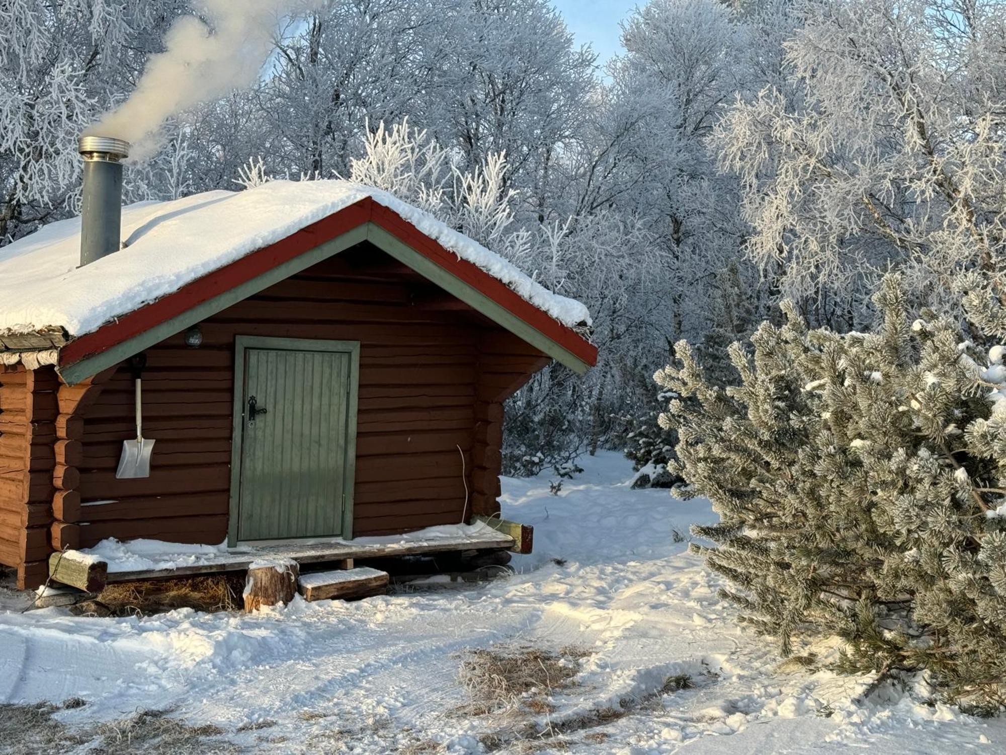 شقة Escapade Norvegienne Tolga المظهر الخارجي الصورة