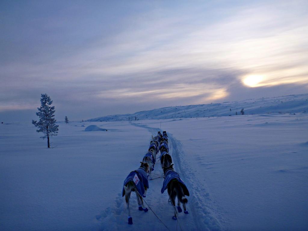 شقة Escapade Norvegienne Tolga المظهر الخارجي الصورة