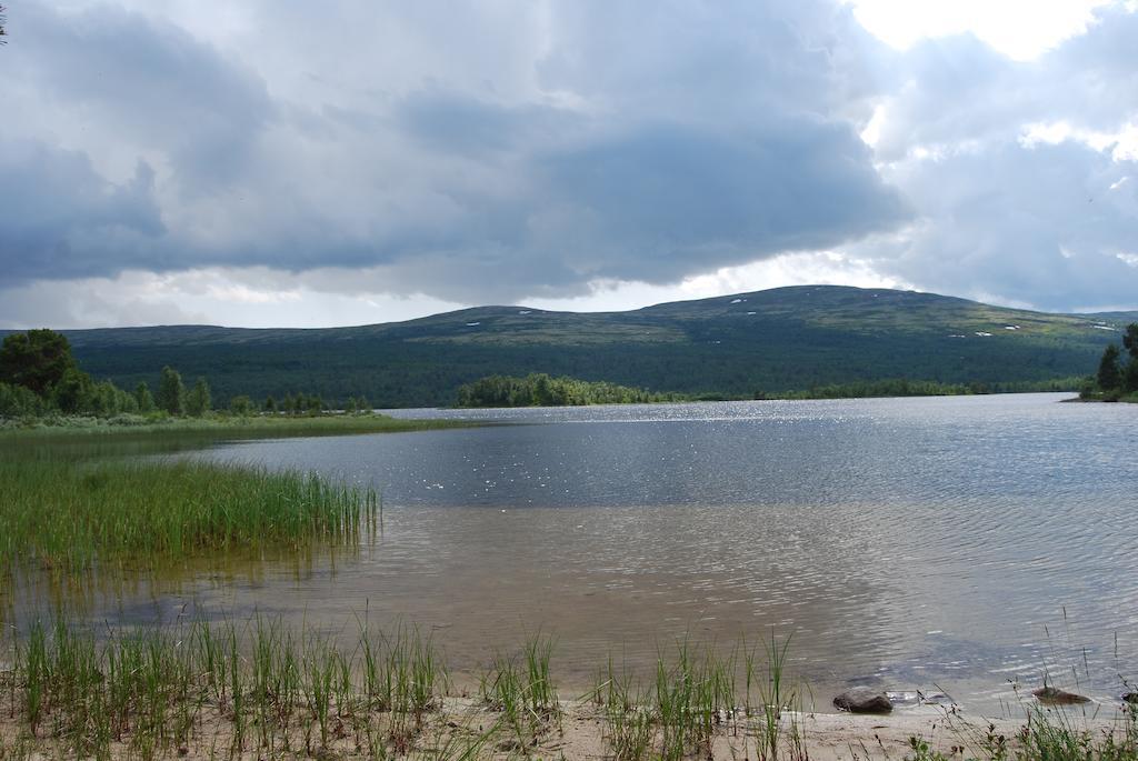 شقة Escapade Norvegienne Tolga المظهر الخارجي الصورة