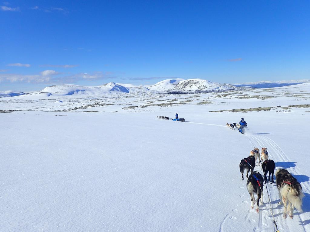 شقة Escapade Norvegienne Tolga المظهر الخارجي الصورة